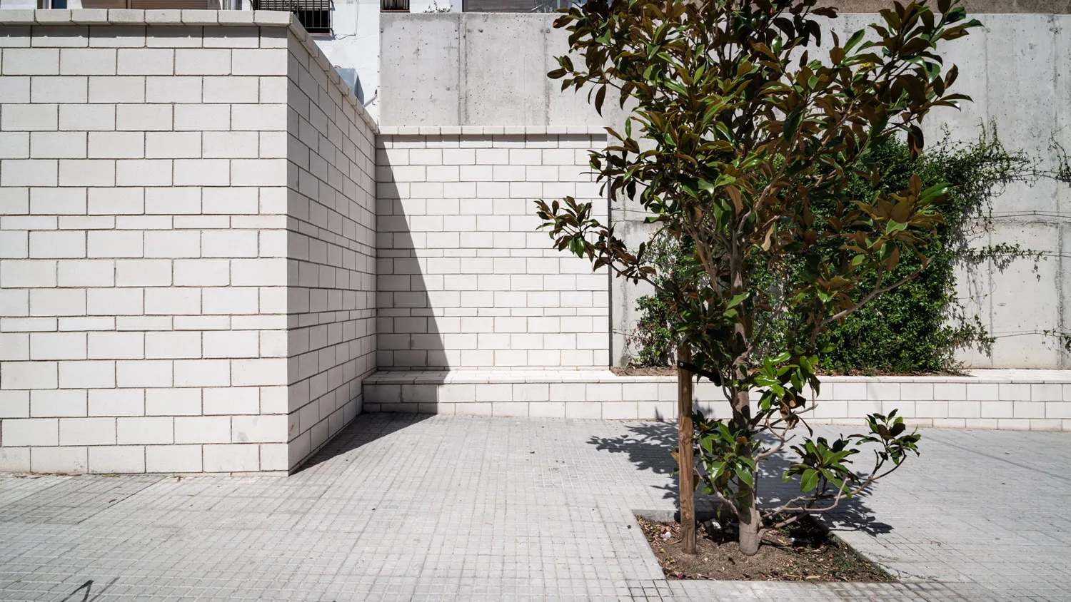 Detall de la cantonada: jardinera i murs de bloc de formigó blanc, amb un arbre jove plantat al paviment.